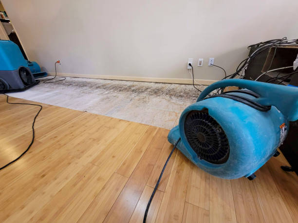 Professional Basement Flood Cleanup technician working in Herculaneum, MO